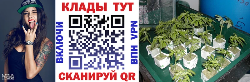 Купить Конопля  АМФЕТАМИН  Мефедрон  КОКАИН  Кировград