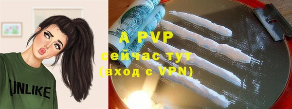 apvp Каменногорск