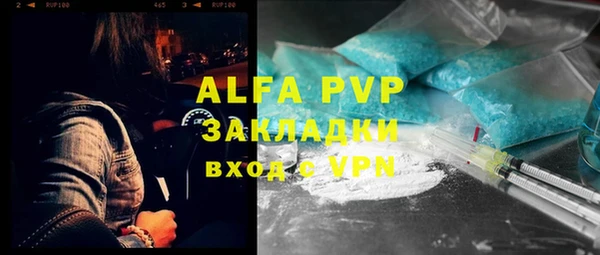 apvp Каменногорск