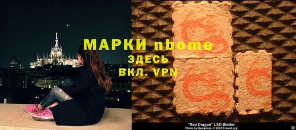 гашик Инта