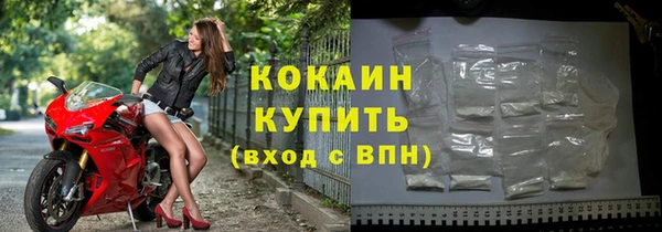 гашик Инта